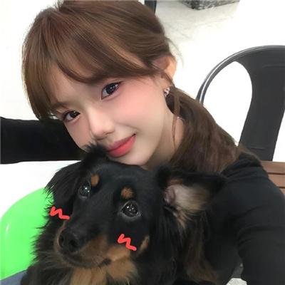 科搜研之女第24季